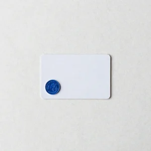 One Activity Coin